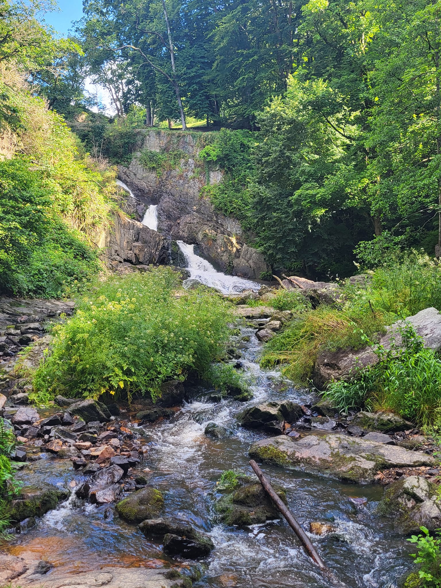 Photo des cascades de Mortain