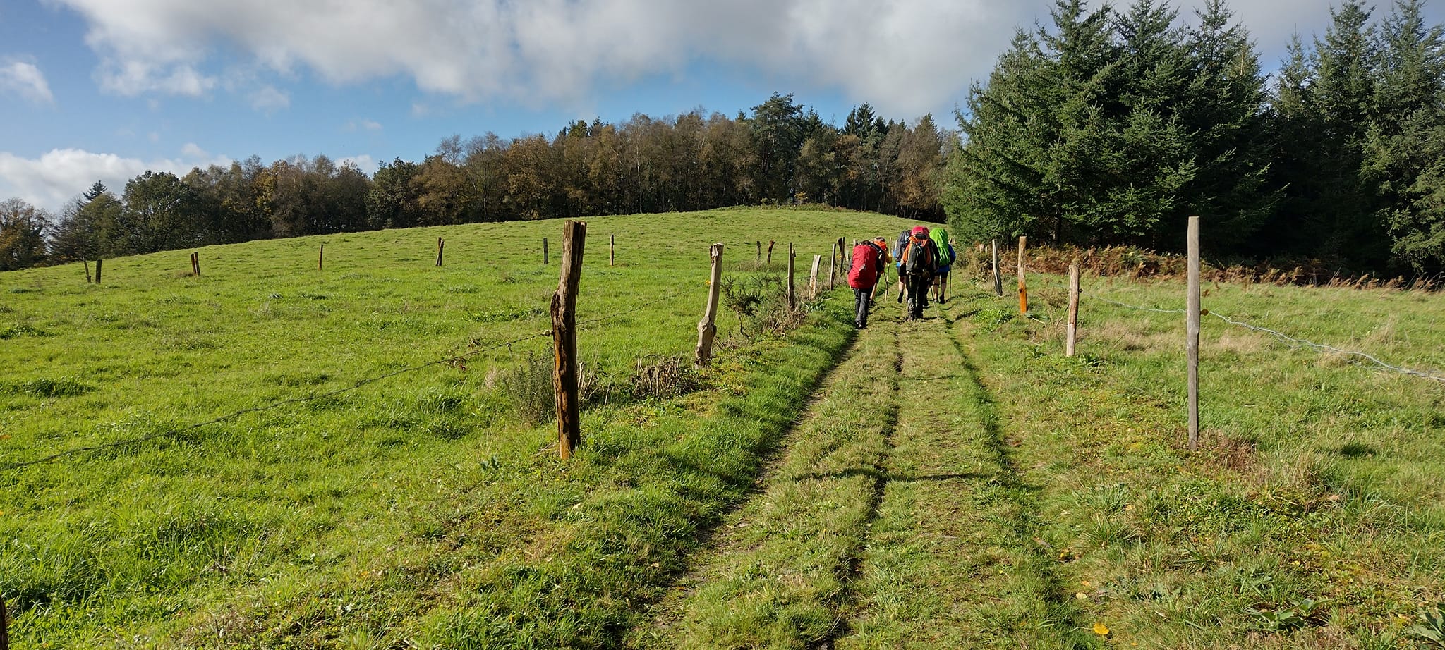Photo des marcheurs dans la forêt