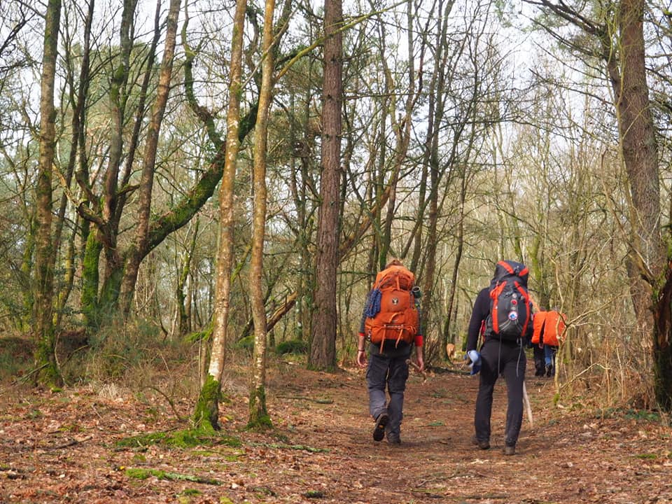 Photo de marcheurs dans la forêt