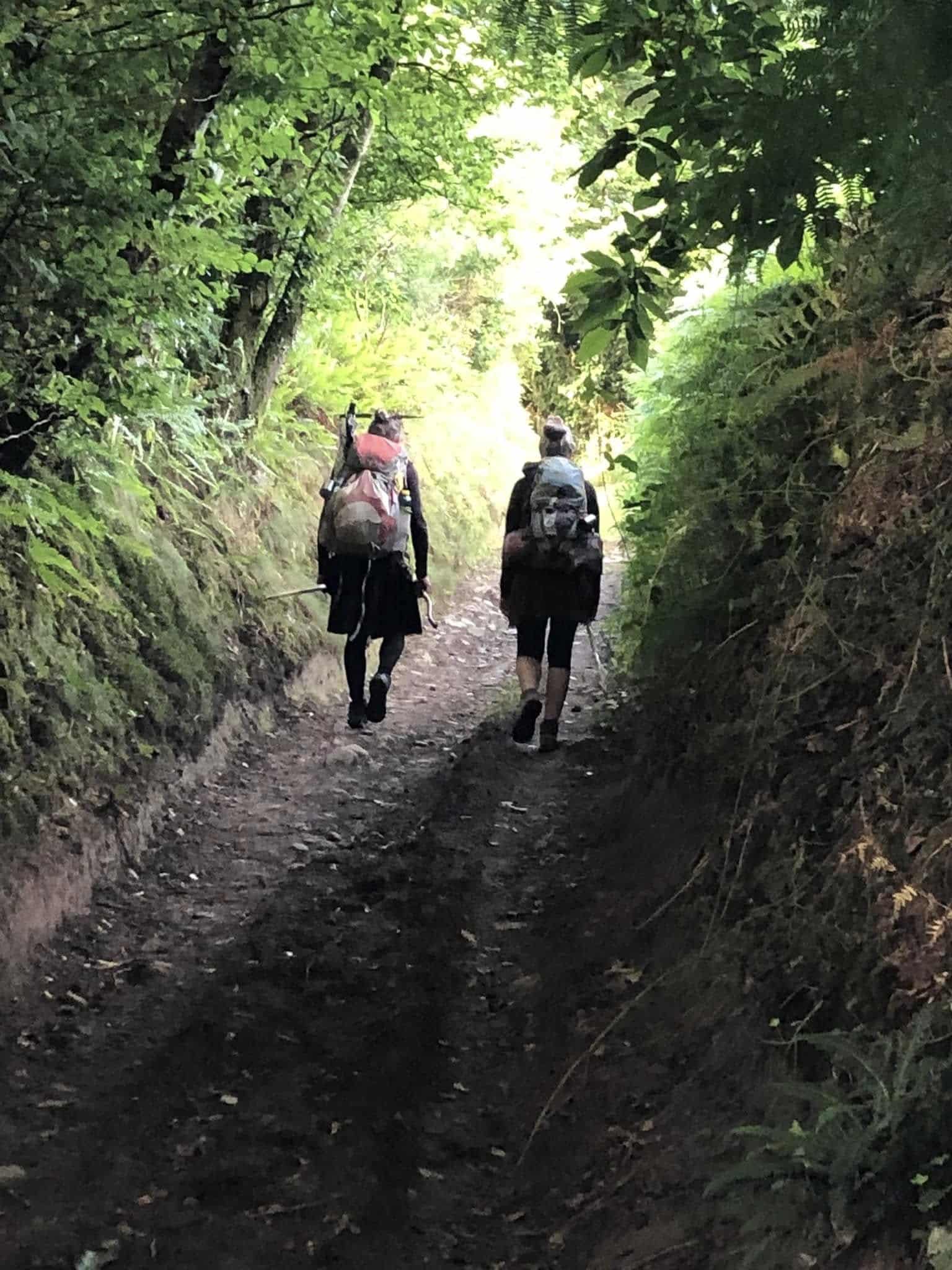 Photo des marcheurs dans la forêt