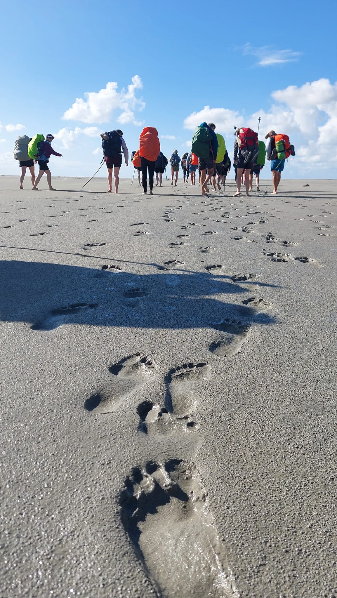 Photo d'empreintes de pied des marcheurs dans la baie du Mont-Saint-Michel